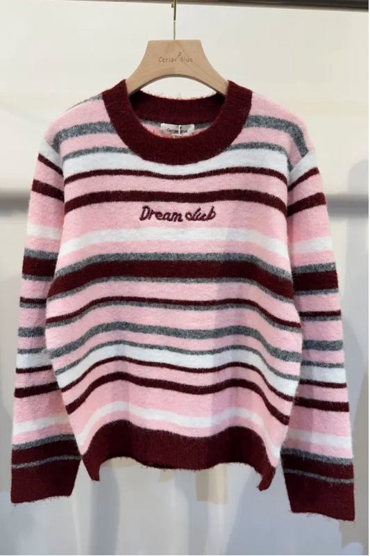 Dream Club Pink Jumper